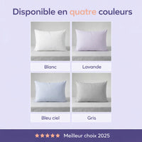 Taies d’oreiller rafraîchissantes (Lot de 2)