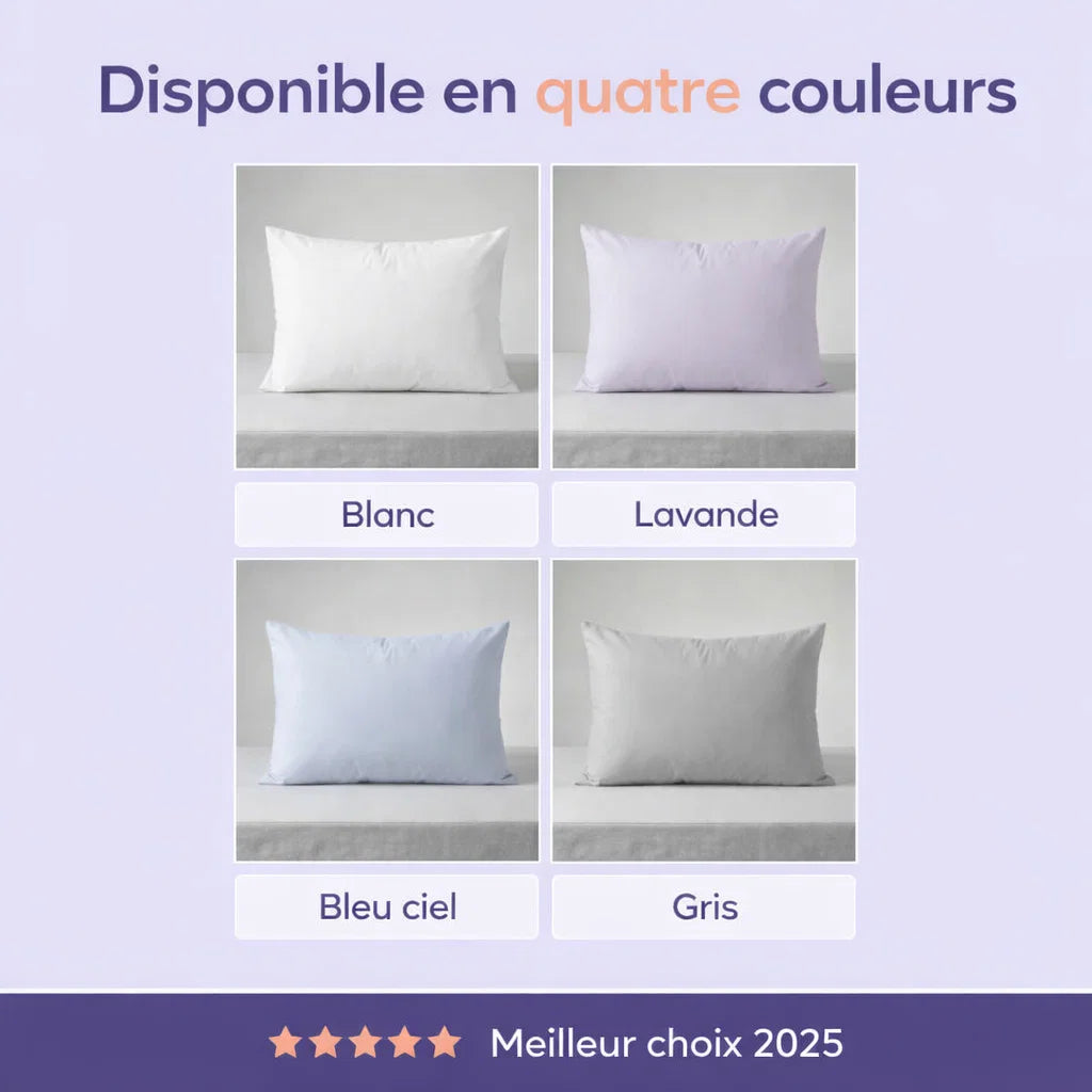 Taies d’oreiller rafraîchissantes (Lot de 2)